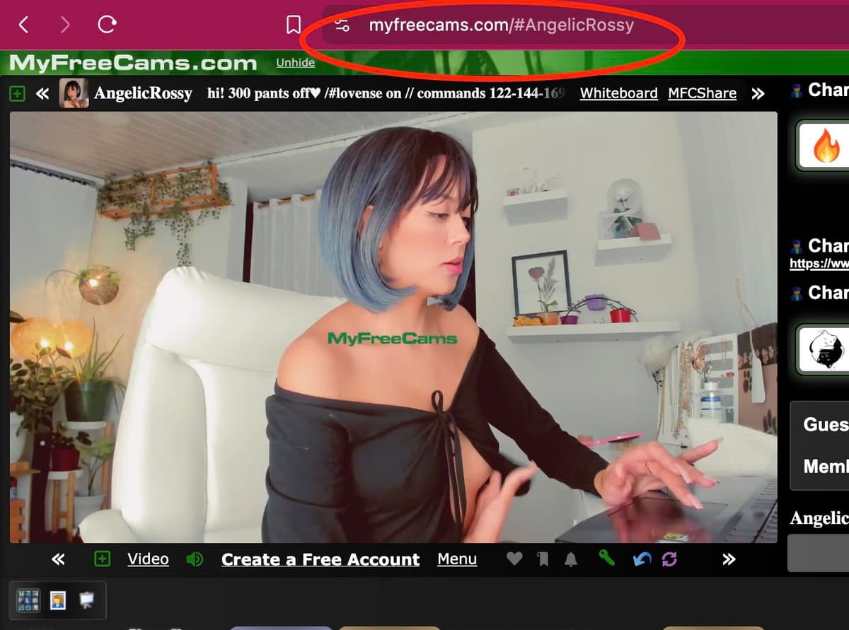 Navigate to MyFreeCams